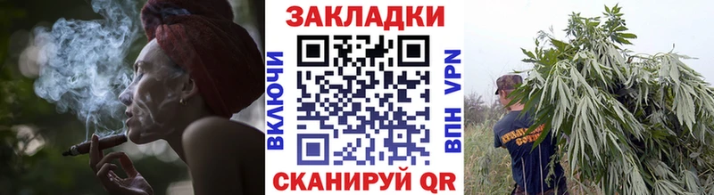 Псилоцибиновые грибы Афипский