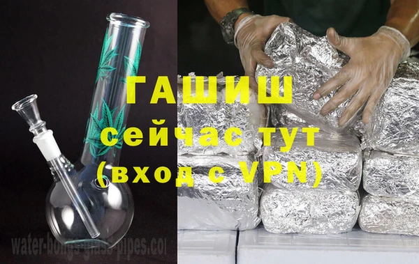 хмурый Аркадак