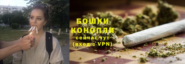 2c-b Белокуриха