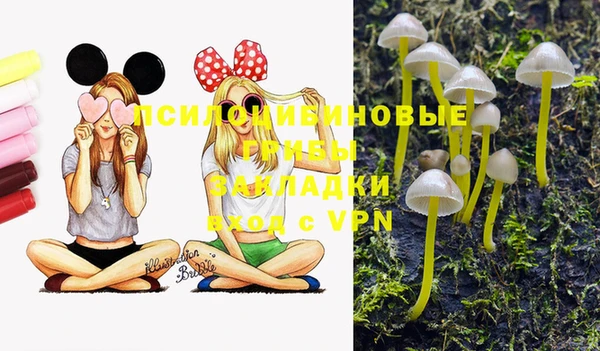 2c-b Белокуриха