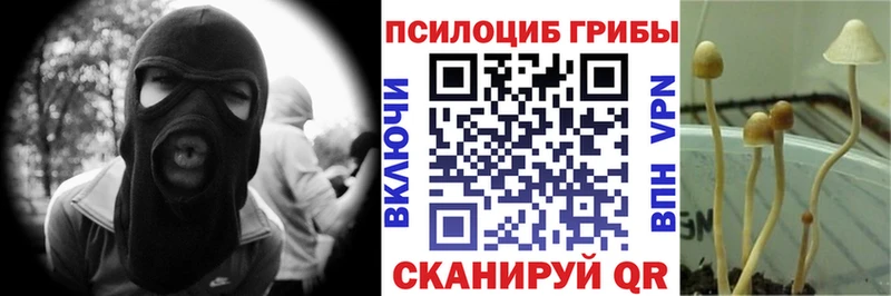 Псилоцибиновые грибы ЛСД  наркота  Афипский 